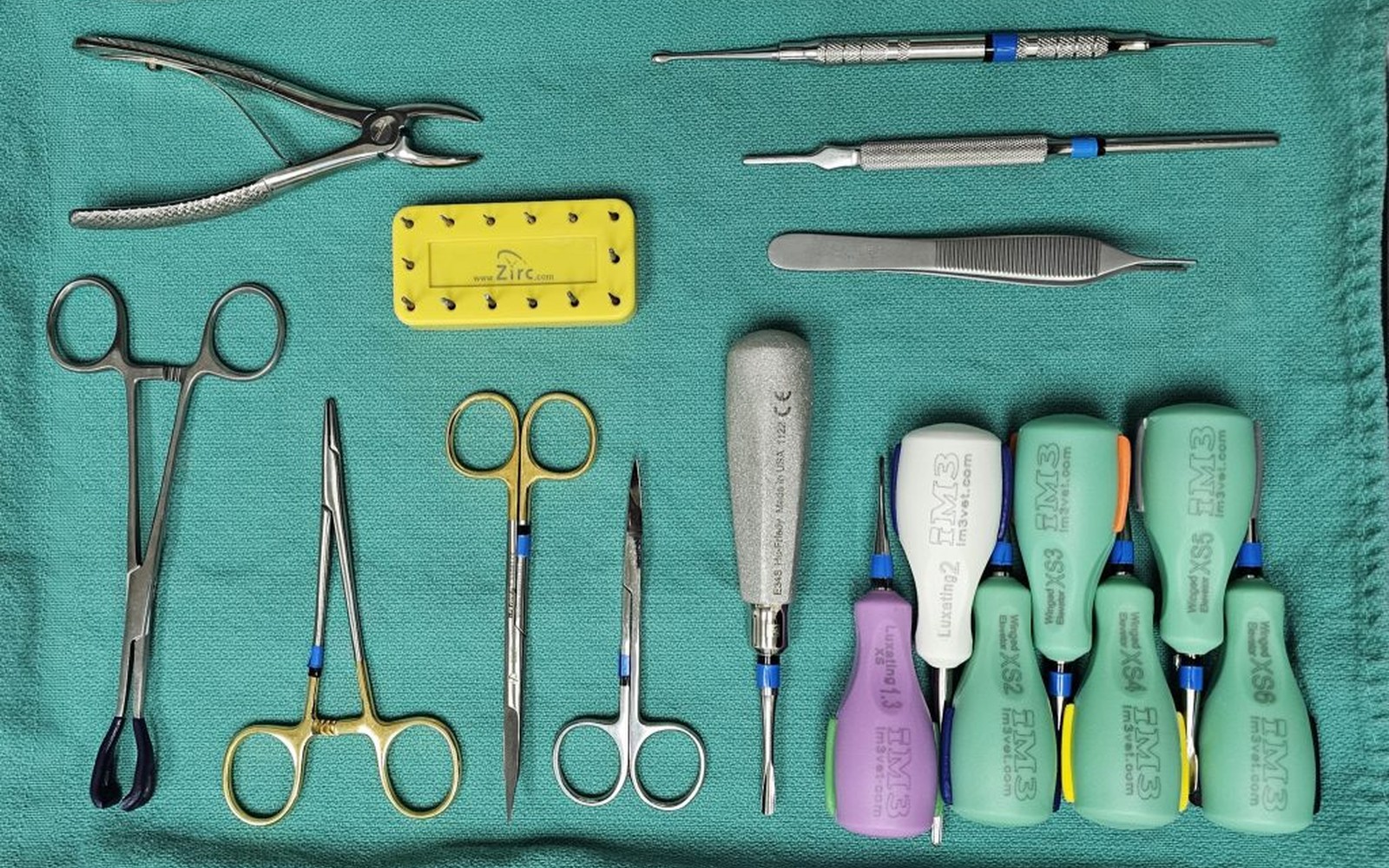 Veterinary Dentistry
