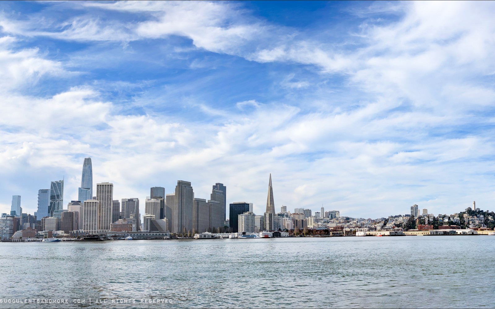 Dental Equipment Financing in San Francisco, CA